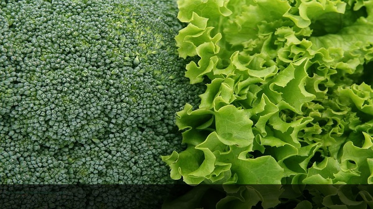 diet changes to improve metabolism post-50