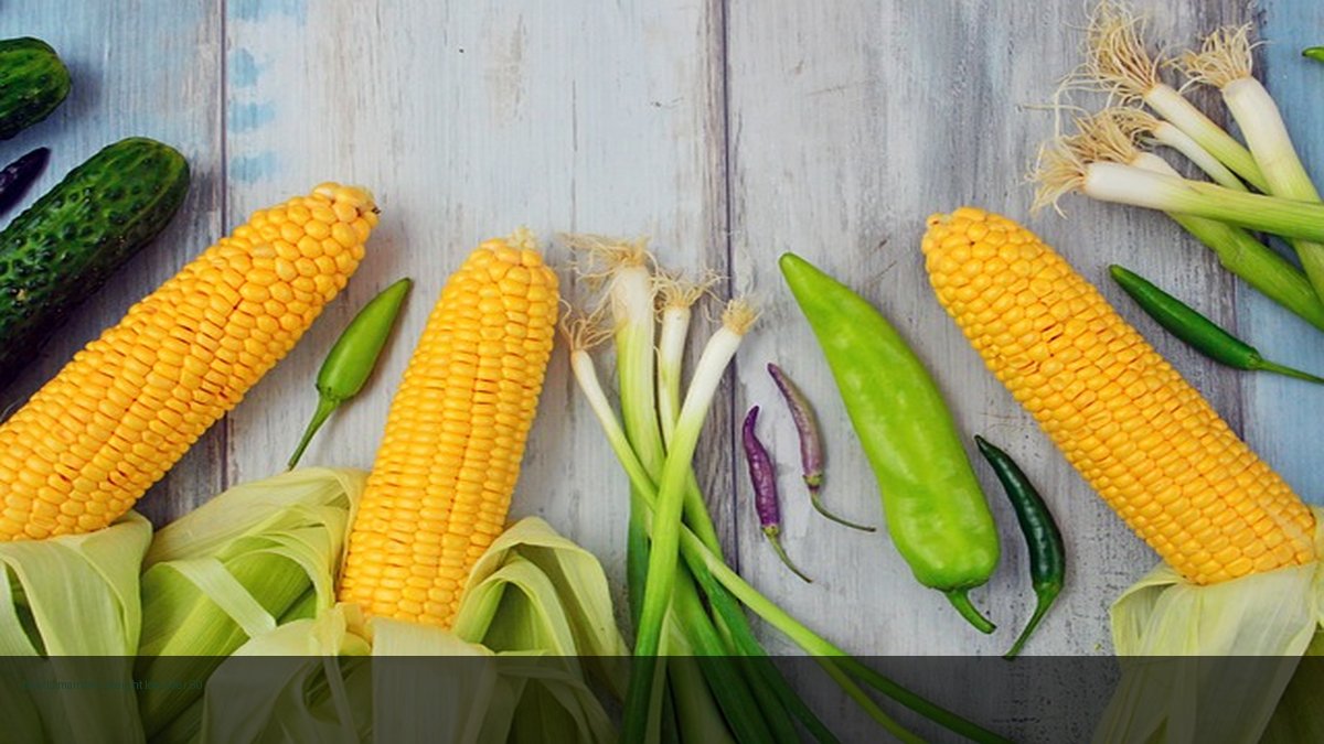 how to maintain weight loss after 50